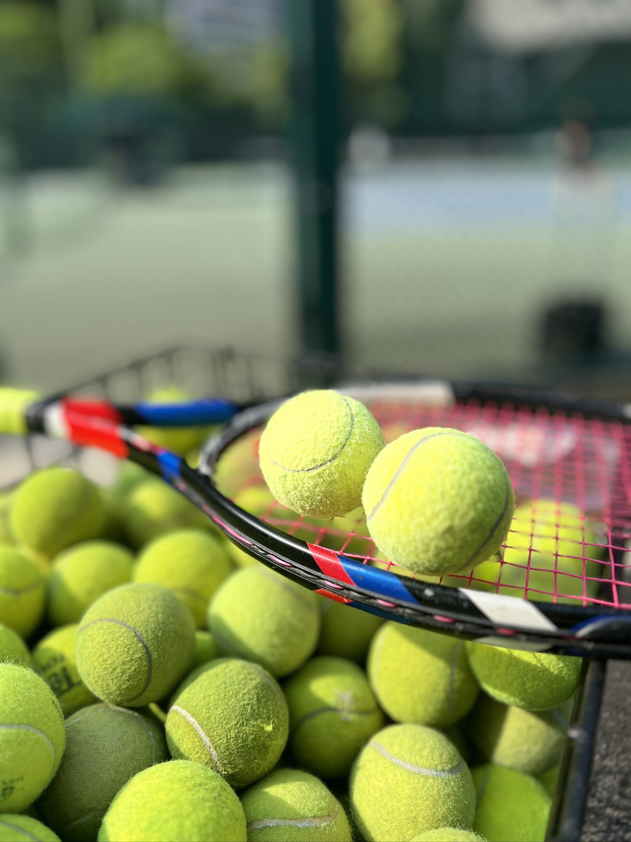 有一群默默 有一群默默